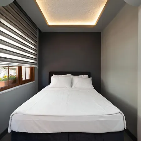 Apartment Hagia Sophia Luxury 301 Istanbul